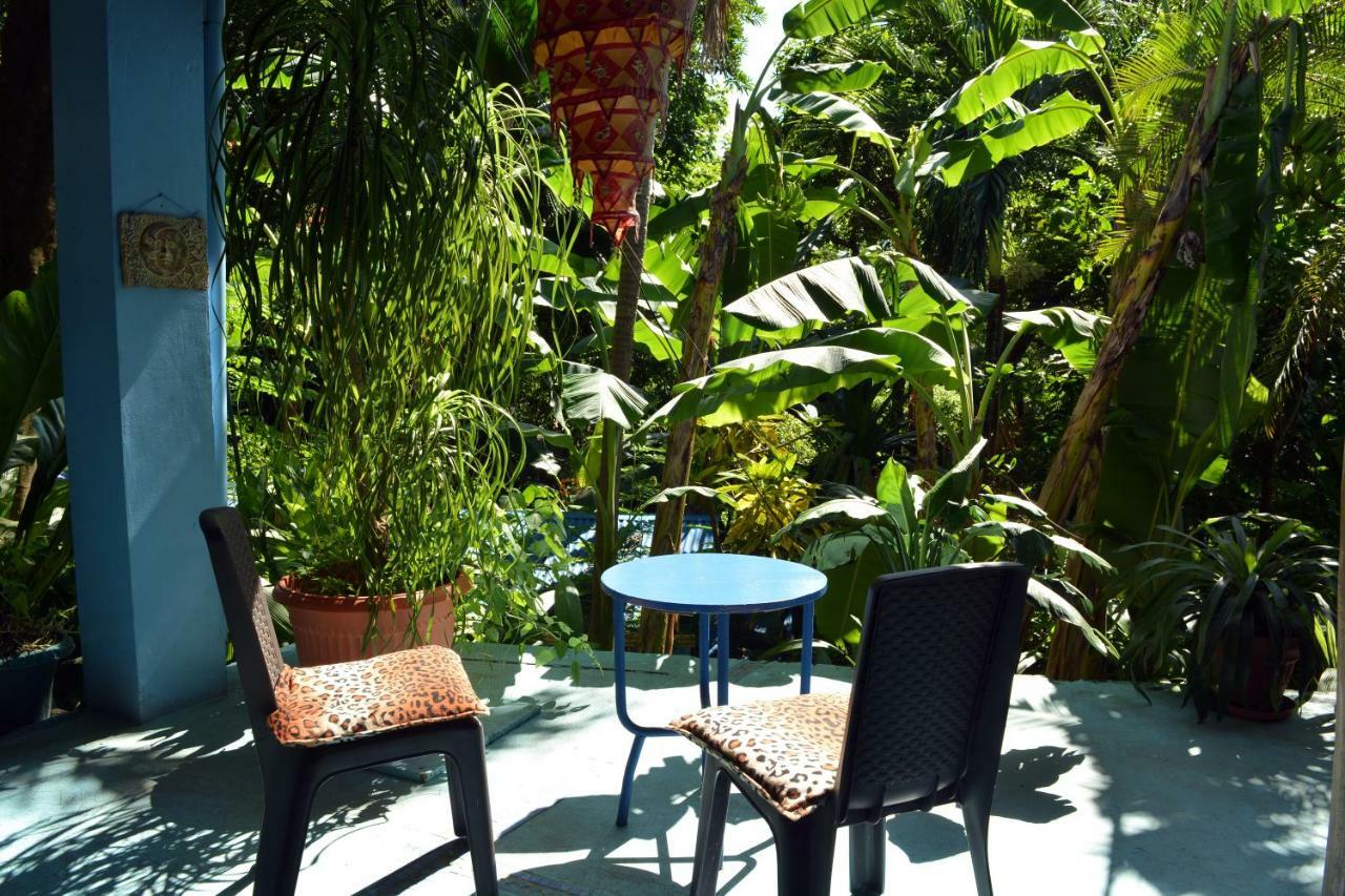 Hotel Luna Llena Νικόγια Εξωτερικό φωτογραφία